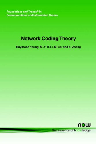 Large book cover: Network Coding Theory