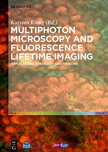 Large book cover: Multiphoton Microscopy and Fluorescence Lifetime Imaging