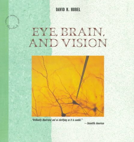 Large book cover: Eye, Brain, and Vision