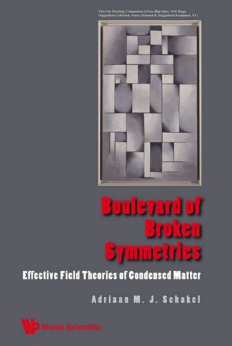 Large book cover: Boulevard of Broken Symmetries