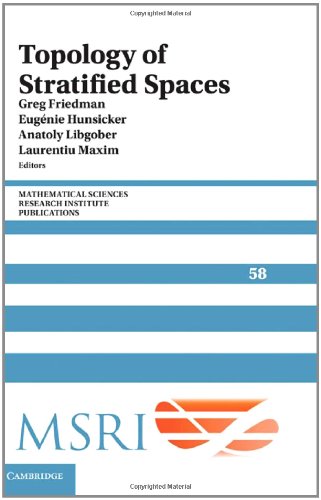 Large book cover: Topology of Stratified Spaces