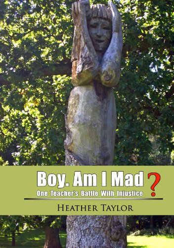 Large book cover: Boy. Am I Mad?