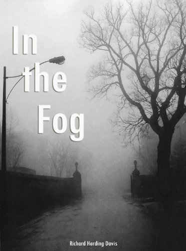 Large book cover: In the Fog