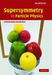 Large book cover: Supersymmetry in Particle Physics: An Elementary Introduction