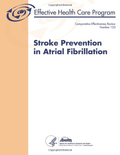 Large book cover: Stroke Prevention in Atrial Fibrillation