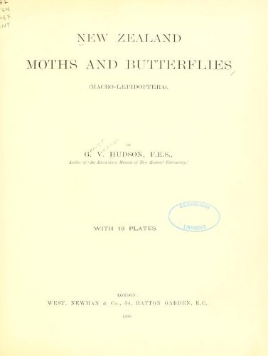 Large book cover: New Zealand Moths and Butterflies